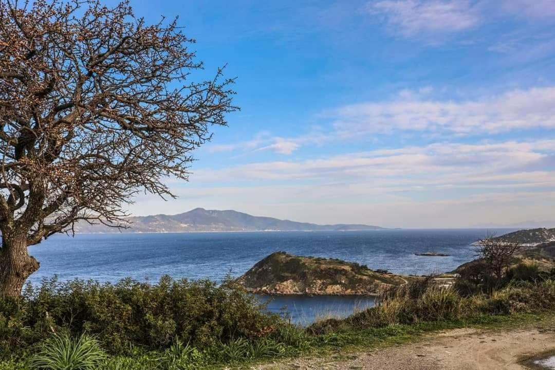 Casa Rozana - Skiathos 아파트 외부 사진